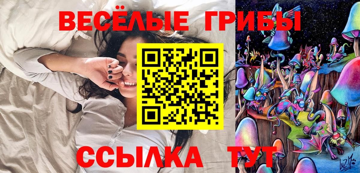 Псилоцибиновые грибы GOLDEN TEACHER Лесозаводск